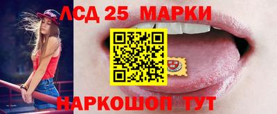 шишки Можга