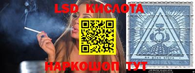 шишки Можга